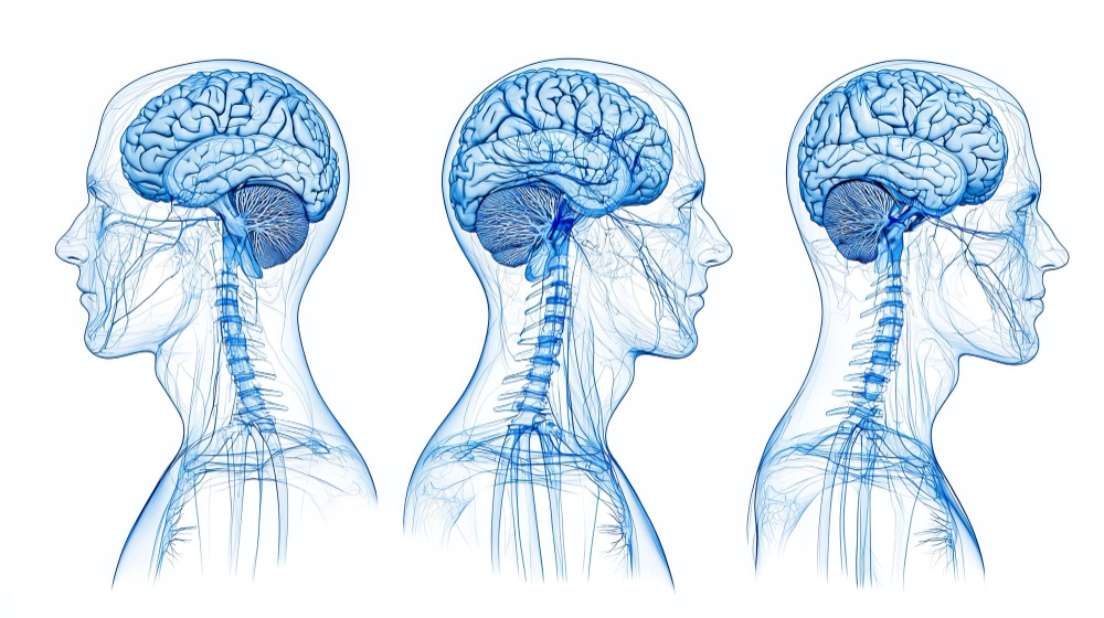 chiropratico a torino