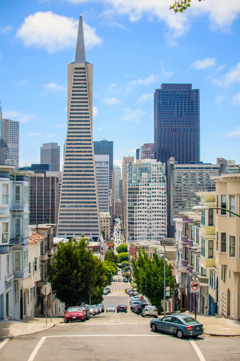 Chiropratico Torino Laureato in America