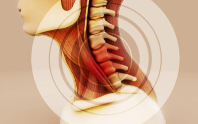 Rigidità Cervicale e Tensione al Collo: Valutazione Chiropratica a Torino